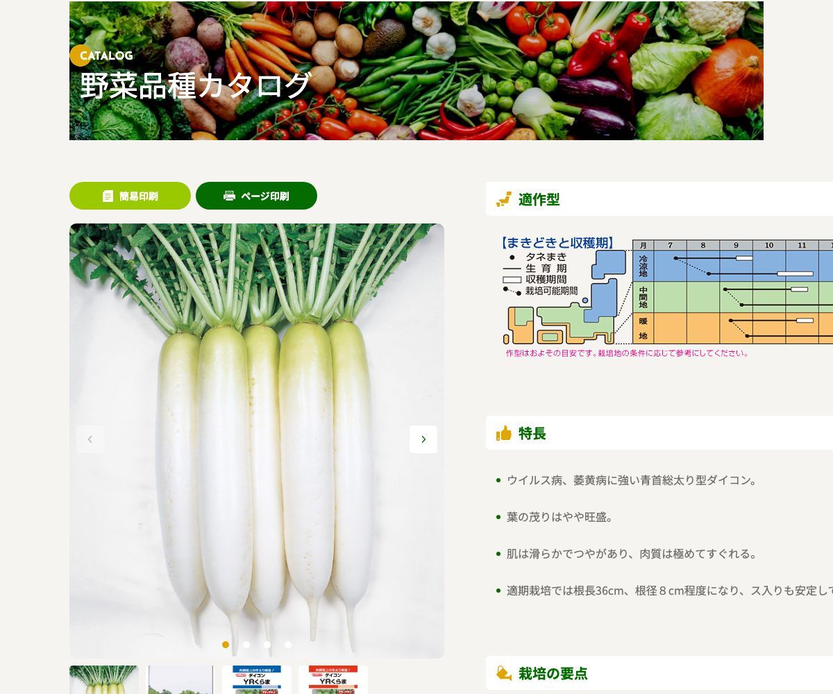 YRくらま
