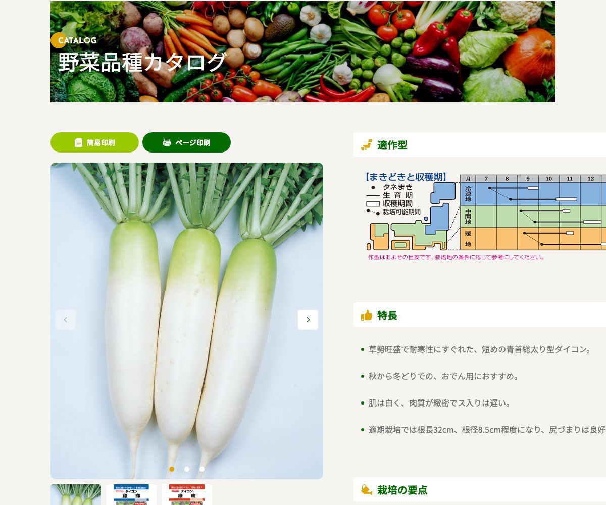 緑輝