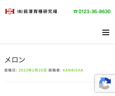 エルシー1071メロン