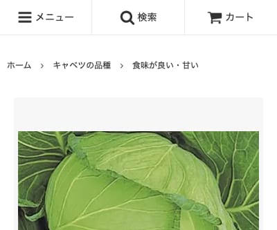 岳陽キャベツ