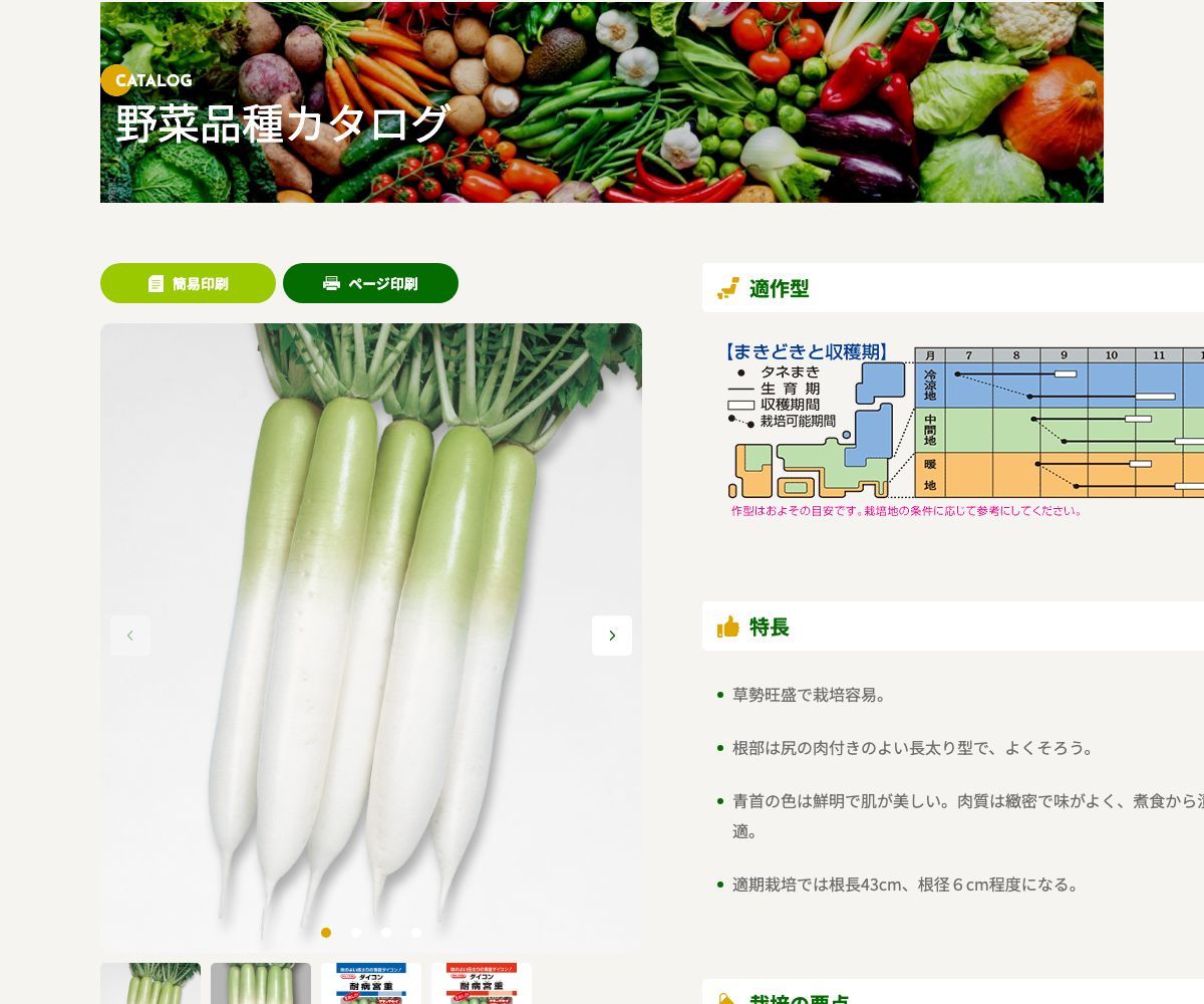 耐病宮重