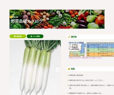 耐病宮重の画像