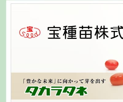 くろすけ南瓜