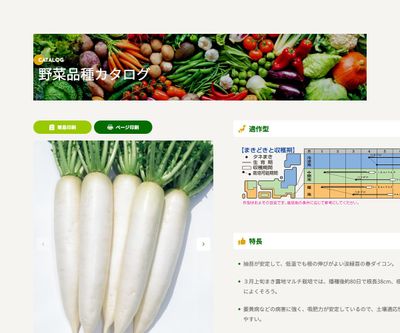 トップランナーの画像