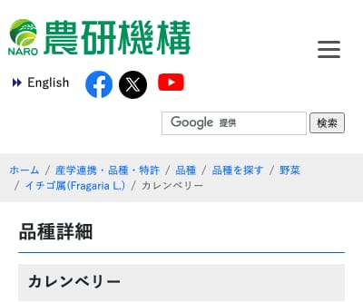 カレンベリー