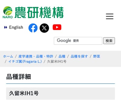 久留米IH1号