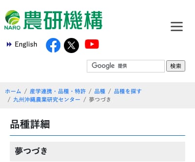 夢つづき