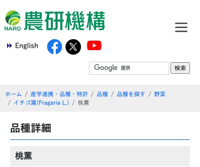 桃薫