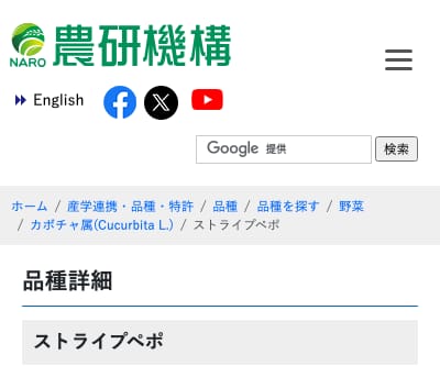 ストライプペポ