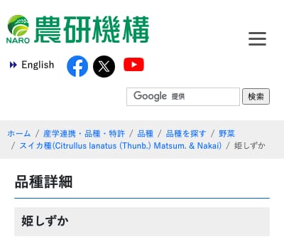 姫しずか