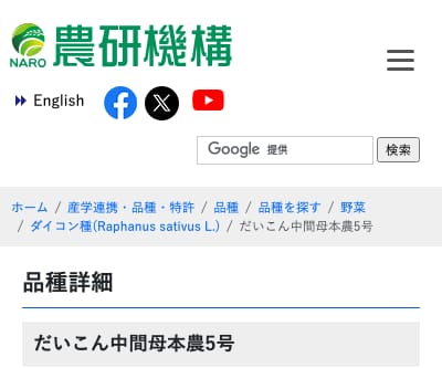 だいこん中間母本農5号