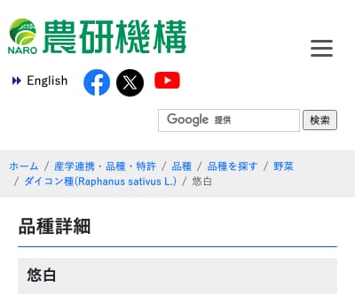 悠白