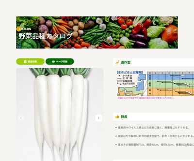 夏みの早生三号の画像