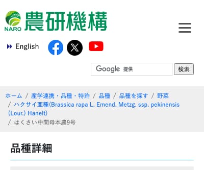 はくさい中間母本農9号