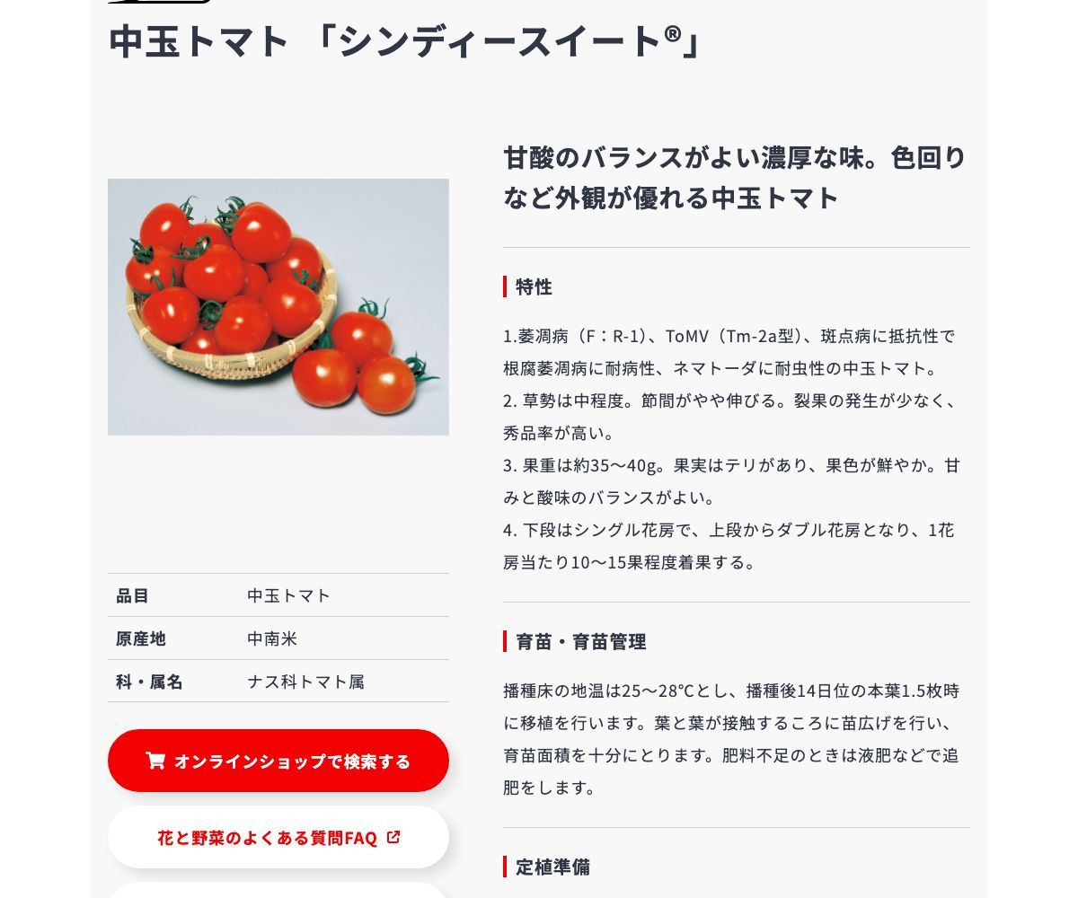 シンディースイート