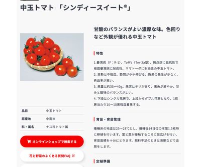 シンディースイートの画像