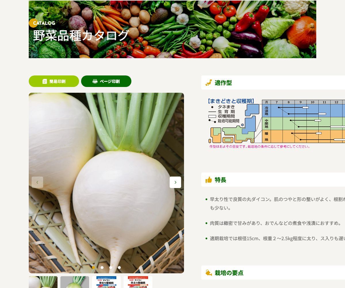 早太り聖護院