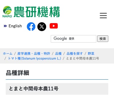 とまと中間母本農11号