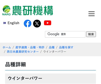 ウインターパワー