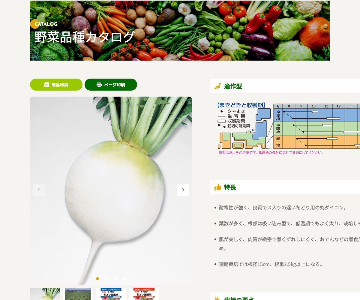 冬どり聖護院