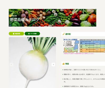 冬どり聖護院の画像