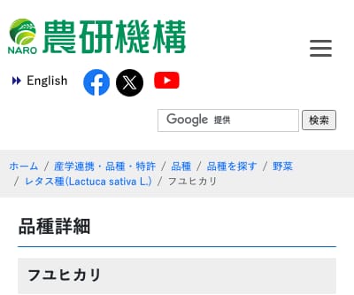 フユヒカリ