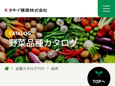 結岬
