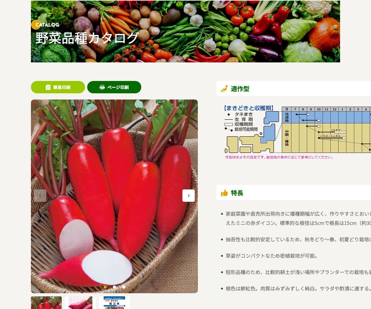 紅三太