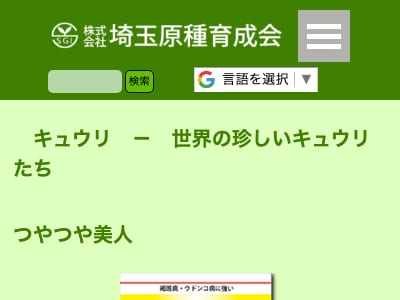 つやつや美人