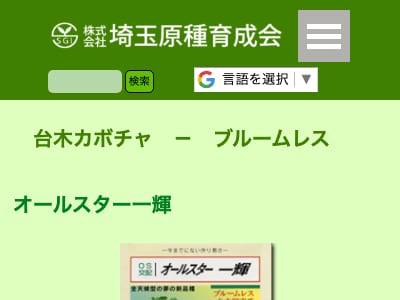 オールスター一輝