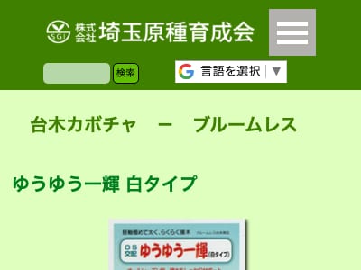 ゆうゆう一輝 白タイプ