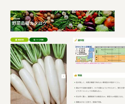 エベレストの画像