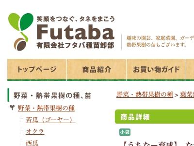 なつサラダ