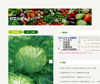 クールガイの画像