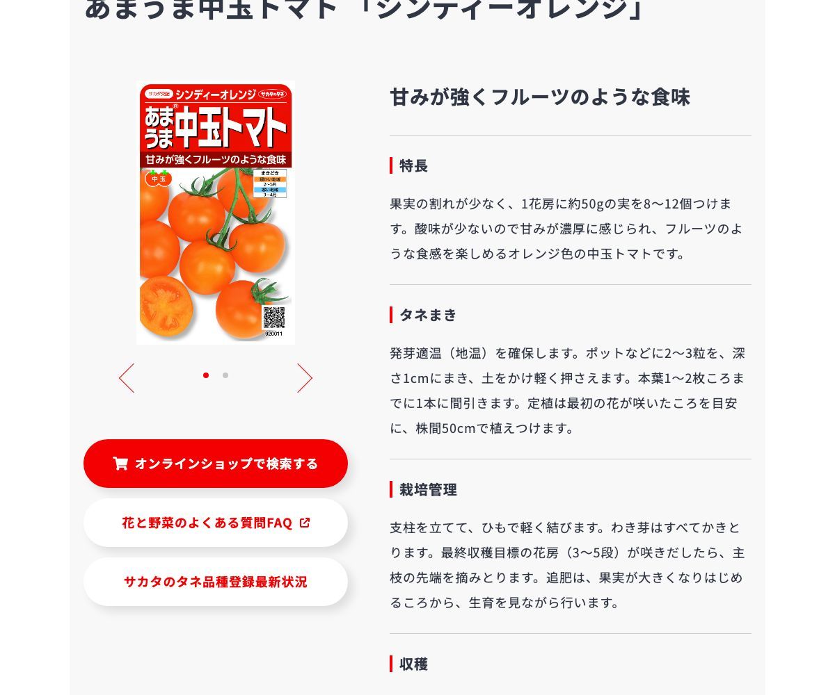 シンディーオレンジ