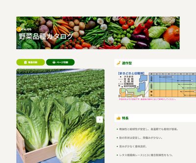 晩抽ロマリアの画像