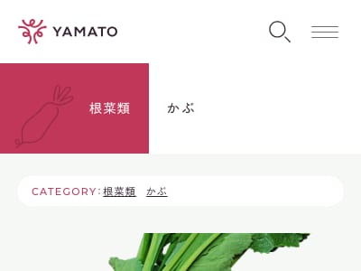 白月type2