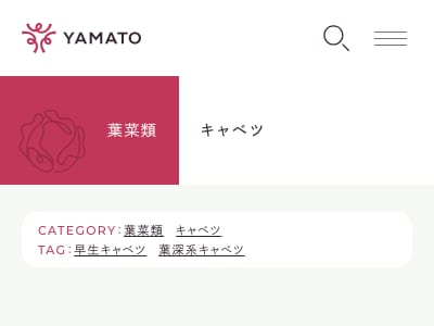 金力