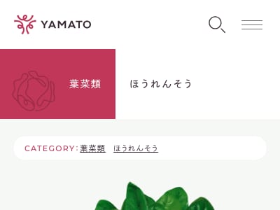 ダッシュ