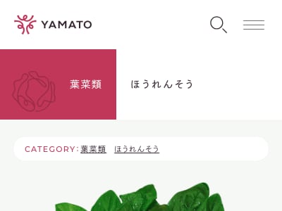 グリーンベスト