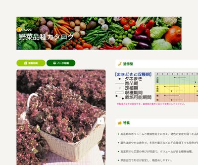 サマールージュの画像