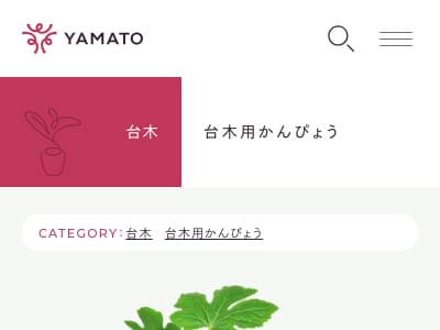 FRボクサー