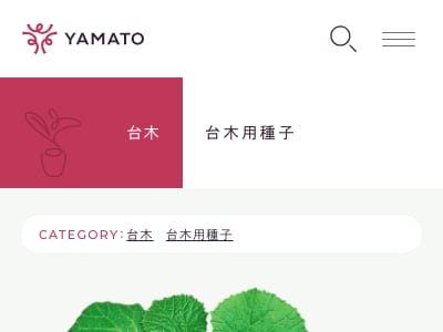強力G