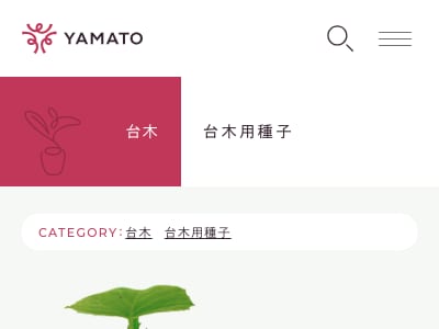 強力一閃