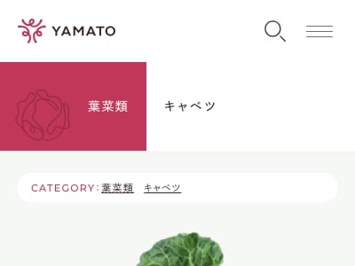 春っ娘