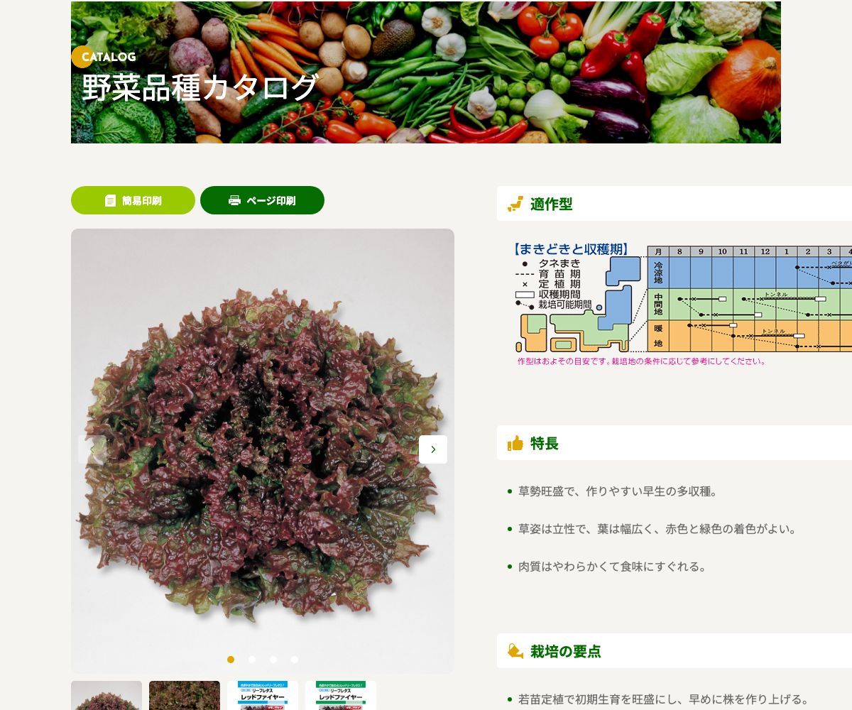 レッドファイヤー