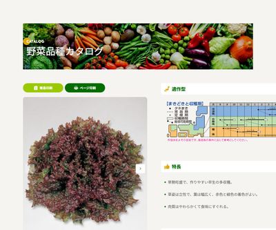 レッドファイヤーの画像