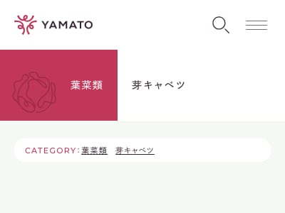 フェスティバル