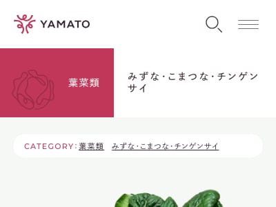 ちりめん美緑