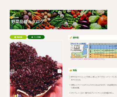 ワインドレスの画像